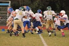 Enlarge photo 443