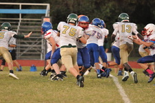 Enlarge photo 444