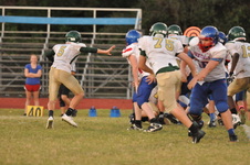 Enlarge photo 445