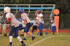 Enlarge photo 451