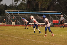 Enlarge photo 485