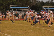 Enlarge photo 490
