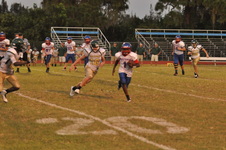 Enlarge photo 495