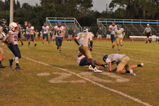 Enlarge photo 496