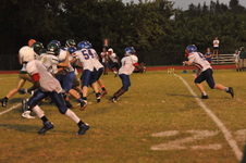 Enlarge photo 497