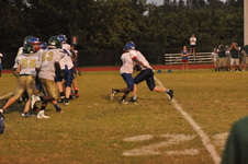 Enlarge photo 498