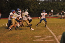 Enlarge photo 499