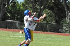 Enlarge photo 43