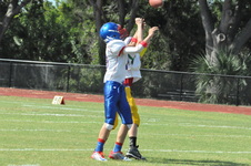 Enlarge photo 45
