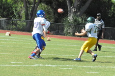 Enlarge photo 46
