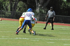 Enlarge photo 47