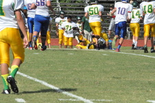 Enlarge photo 50