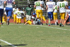 Enlarge photo 51