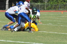 Enlarge photo 55