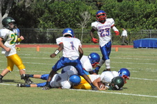 Enlarge photo 57