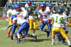 Enlarge photo 59