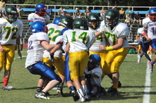 Enlarge photo 62