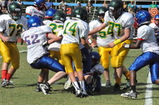 Enlarge photo 63