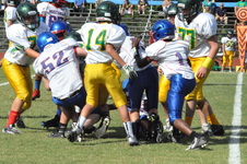 Enlarge photo 64