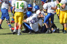 Enlarge photo 65