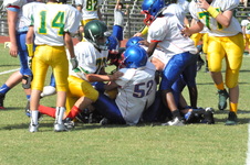 Enlarge photo 66