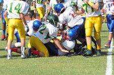Enlarge photo 67