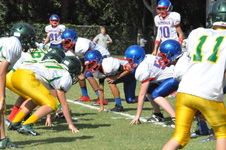 Enlarge photo 69