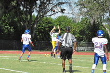 Enlarge photo 71