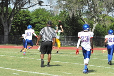 Enlarge photo 73