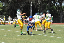 Enlarge photo 74
