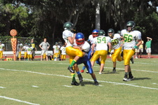 Enlarge photo 75