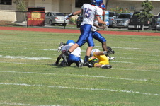 Enlarge photo 79