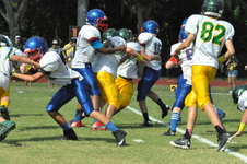 Enlarge photo 90