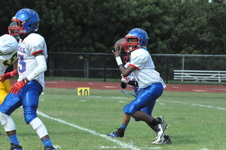 Enlarge photo 93