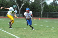Enlarge photo 95