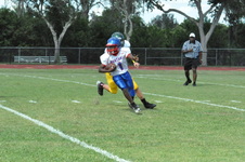 Enlarge photo 97
