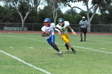 Enlarge photo 98