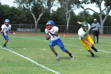 Enlarge photo 99