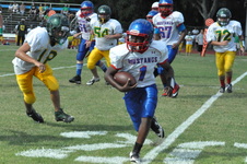 Enlarge photo 102