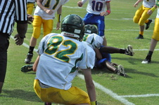Enlarge photo 105