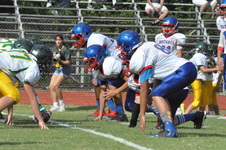 Enlarge photo 113