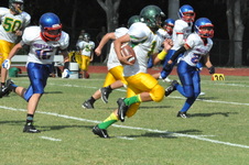 Enlarge photo 115