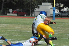 Enlarge photo 118