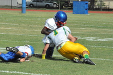 Enlarge photo 119