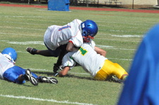 Enlarge photo 120