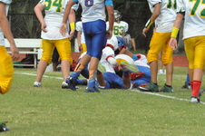 Enlarge photo 129