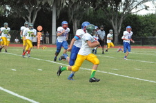 Enlarge photo 130