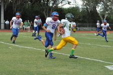 Enlarge photo 131
