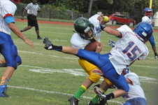 Enlarge photo 134