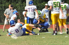 Enlarge photo 141